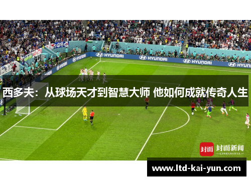 西多夫：从球场天才到智慧大师 他如何成就传奇人生