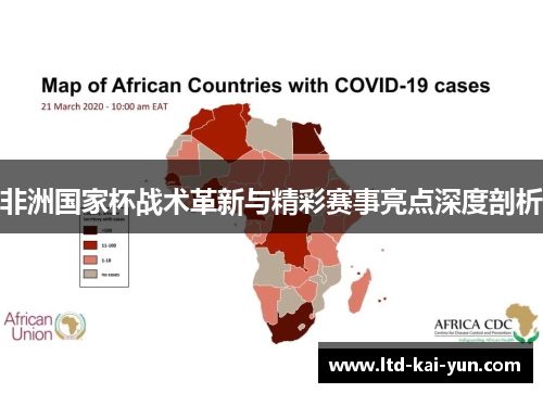 非洲国家杯战术革新与精彩赛事亮点深度剖析 非洲国家杯战术革新与精彩赛事亮点深度剖析